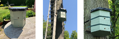 Birchanger Woods bee box