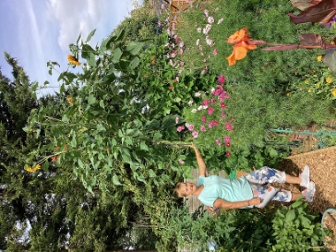 Sylvie Coles - Tallest Sunflower