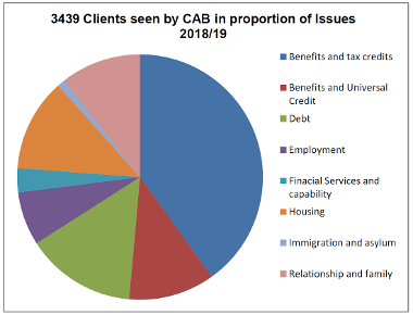 Figure 4: Clients seen by CAB 2018/19
